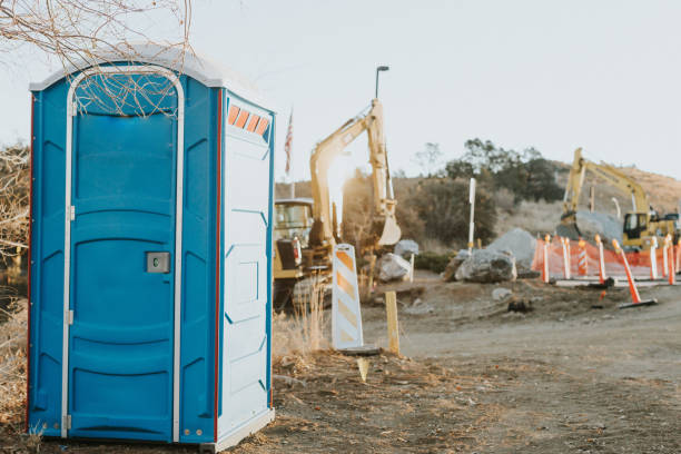 Portable Toilet Options We Offer in Despard, WV