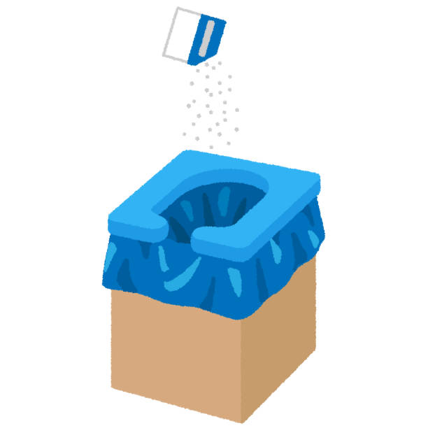 Best Porta potty rental near me  in Despard, WV