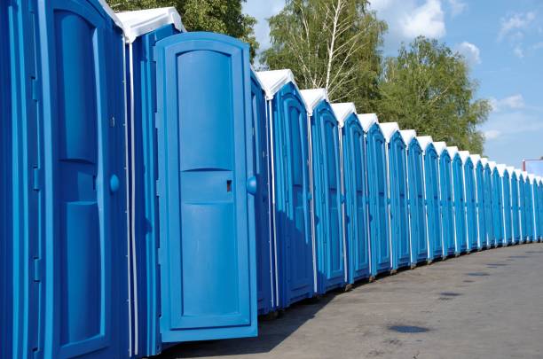 Best Affordable porta potty rental  in Despard, WV